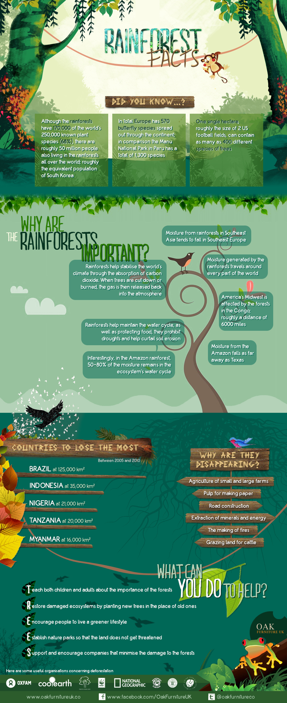 rainforest_facts