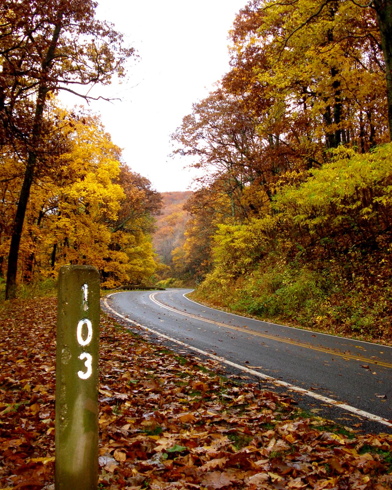 10 Car-Free Fall Foliage Trips of the Northeast
