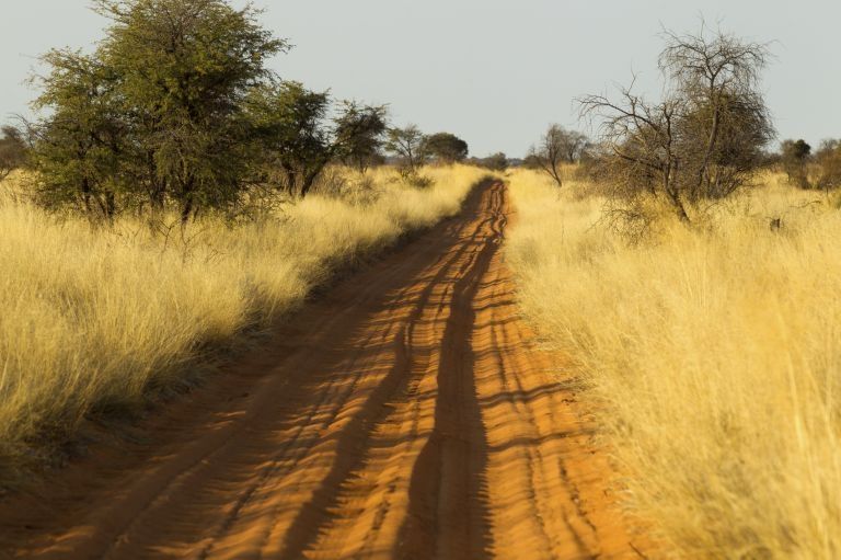 Temperatures in Kgalagadi Transforntier Park can reach up to 70°C in the sun or 42°C in the shade. - See more at: https://www.themalaysianinsider.com/travel/article/5-spectacular-landscapes-in-botswana-2016s-must-visit-country#sthash.hAYwJjnG.dpuf