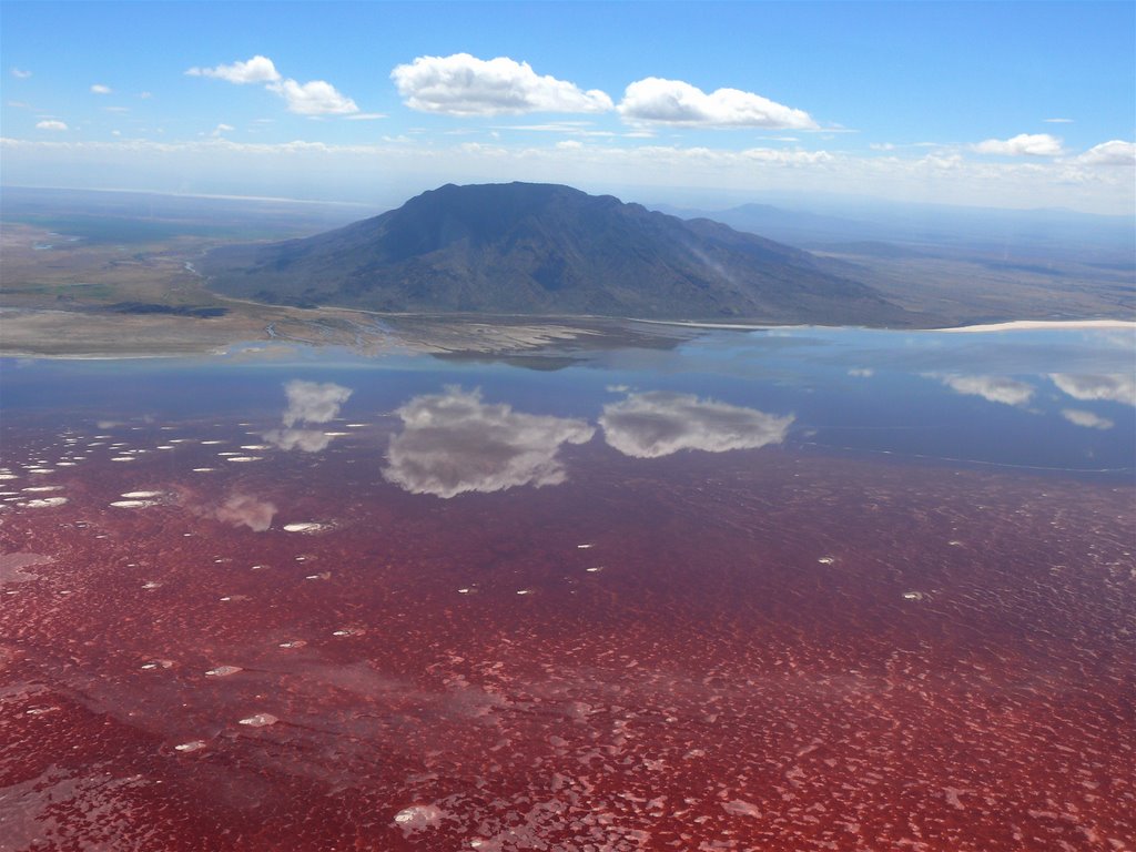 how hot is lake natron