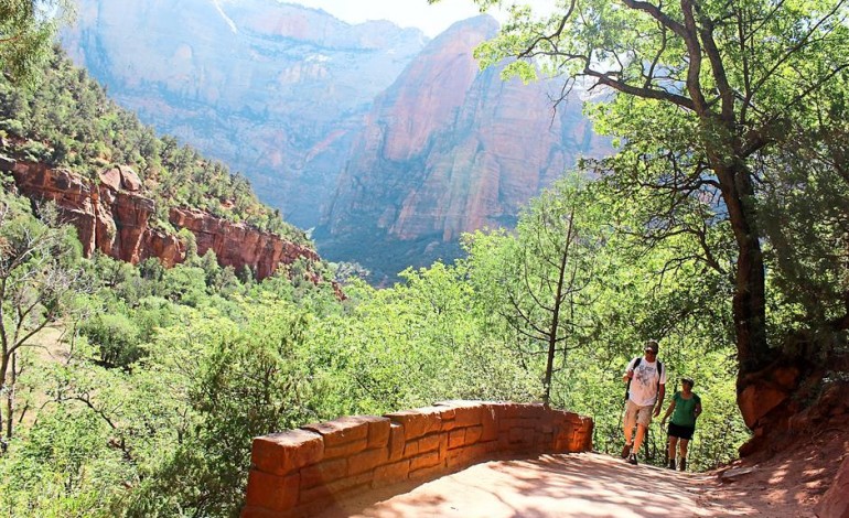 If you ever get the chance, visit the mighty Zion National Park