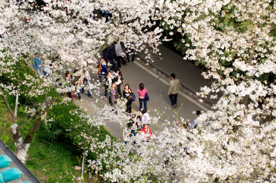 The Charming Wuhan Everyone Should Know