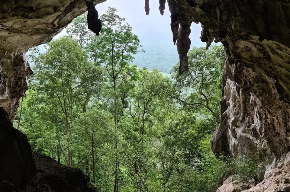 Captivating eco-attractions near Sungai Lembing that you can’t miss