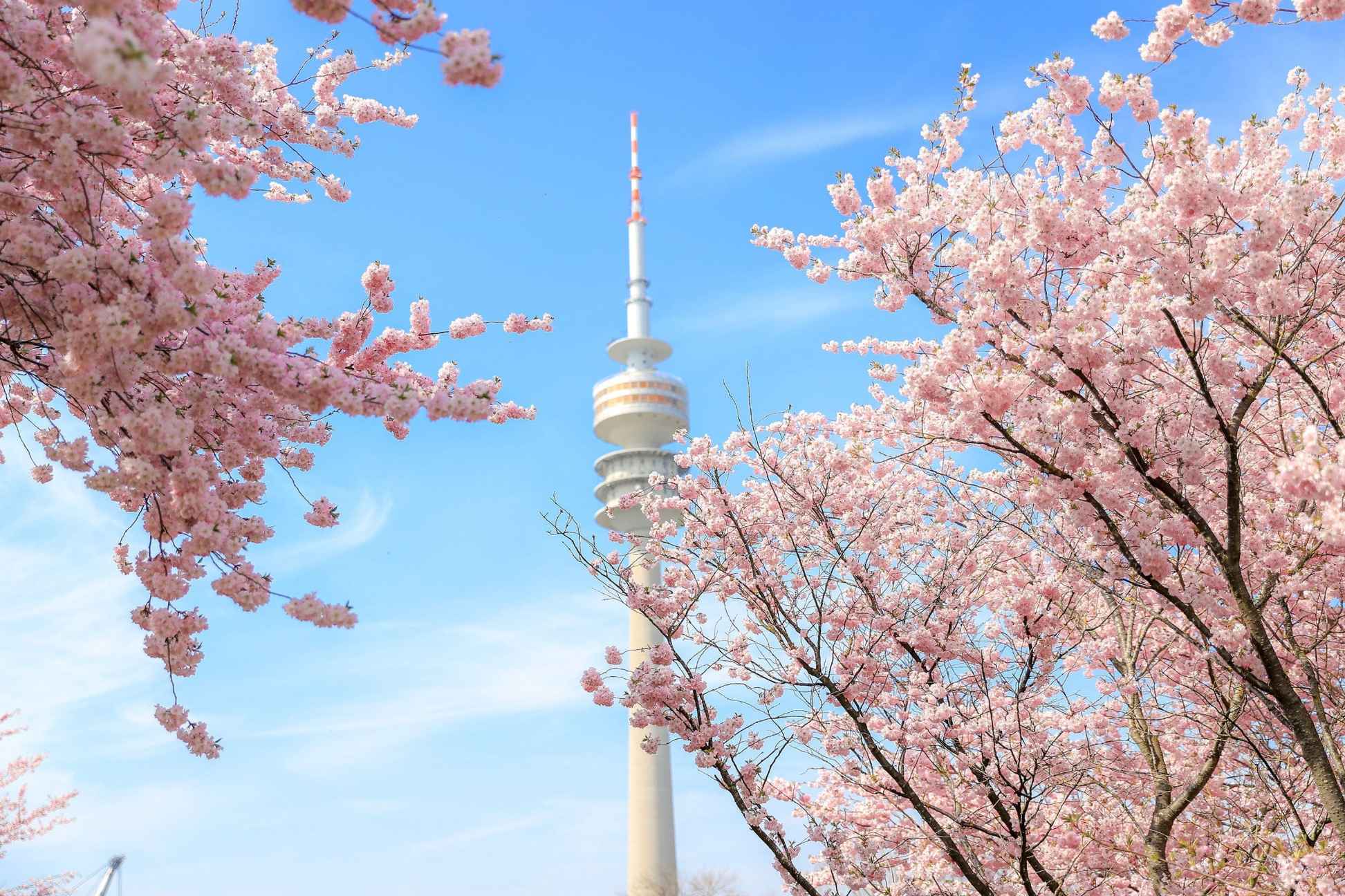Korea 2025: Your Bucket List Destination Awaits